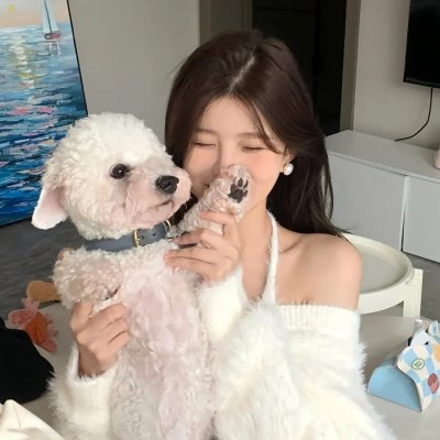 光荣之路上的狗