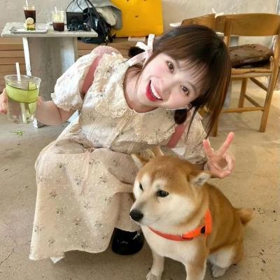 冲绳豆腐之恋